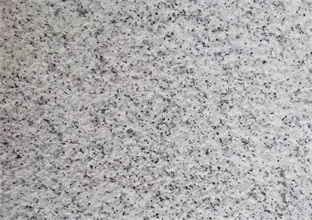 山东白麻在冬季的正确存放方法 (图1) 山东白麻在冬季的正确存放方法 (图1)